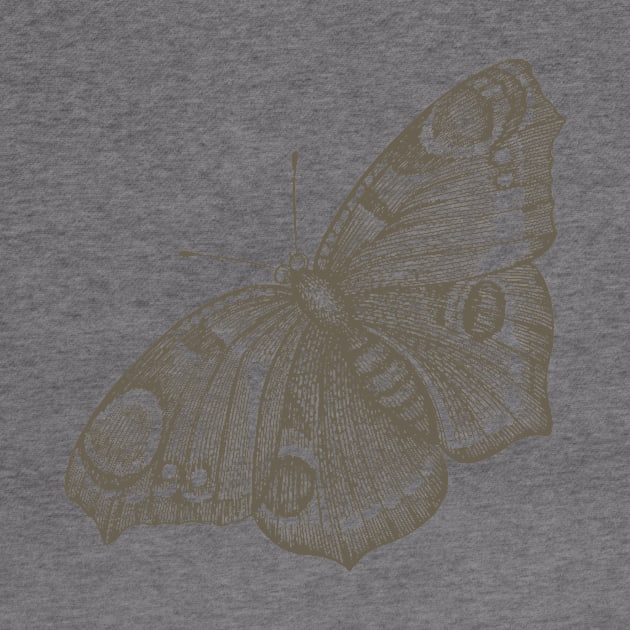 Dramabite Vintage butterfly illustration by dramabite
